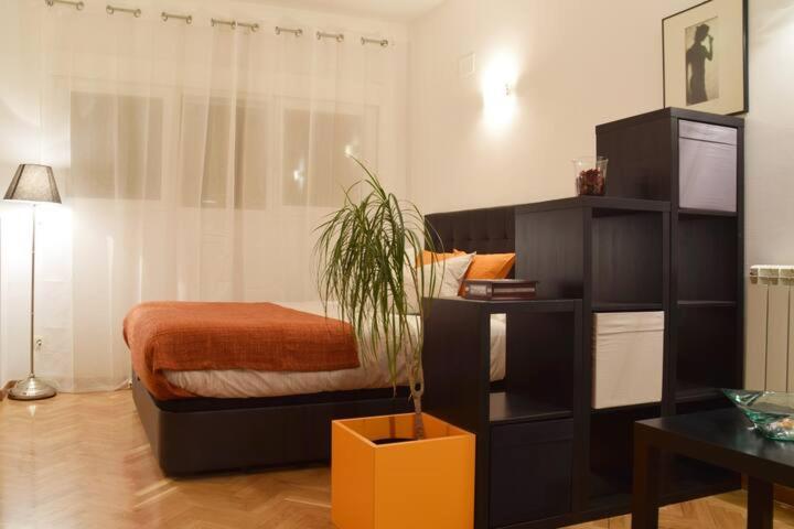 Estudio acogedor y luminoso Apartamento Madrid Exterior foto